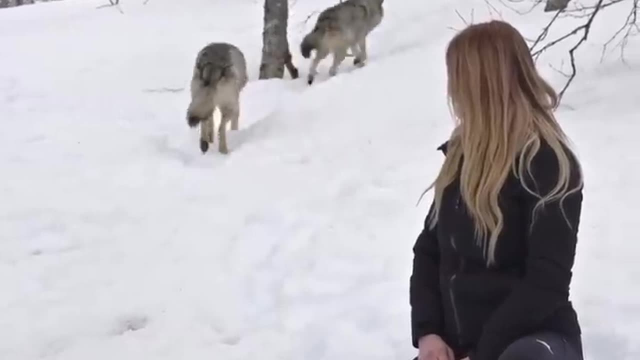 GIRL HOWLS WITH GIANT WOLVES