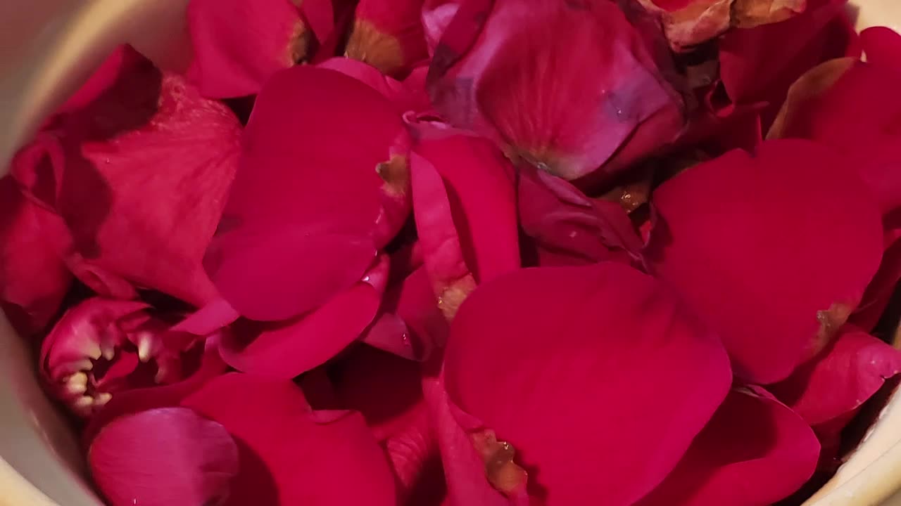 WHEN YOUR HUBBY BRINGS YOU 3 DOZEN RED ROSES . . .