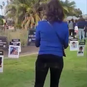 Brasileiros podem pegar politicos e stf