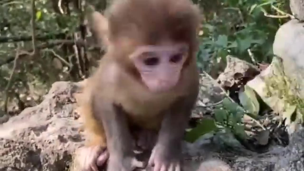 MUST SEE THIS