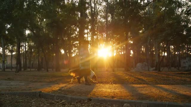 A woman walks through a park with a dog