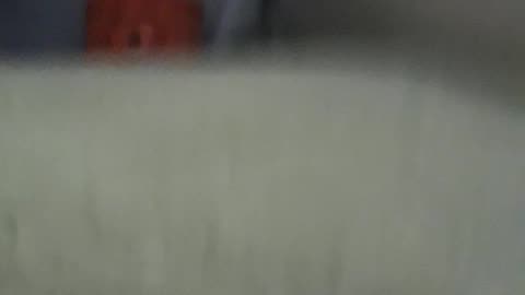 Don't mess with that pumpkin