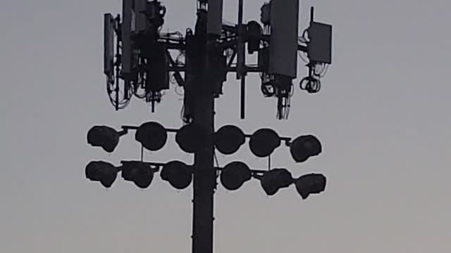 5G Assaults hosted by our Parks and Recreation SMART city