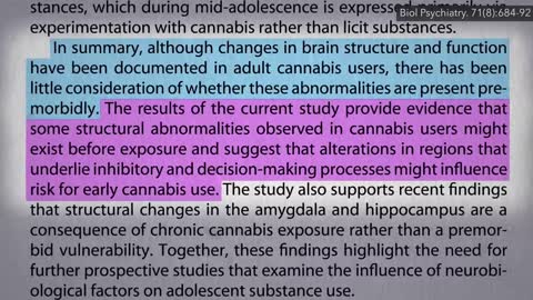 Does Marijuana Cause Permanent Brain Damage in Adults_