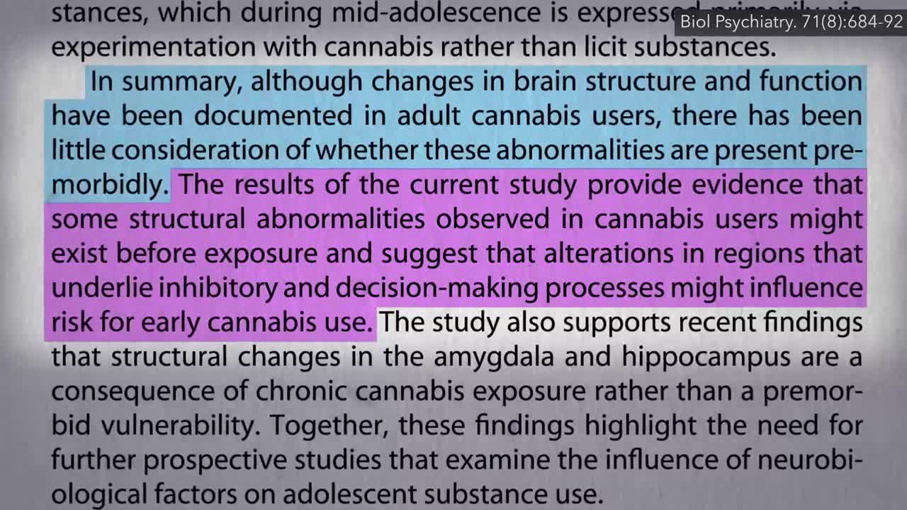 Does Marijuana Cause Permanent Brain Damage in Adults_