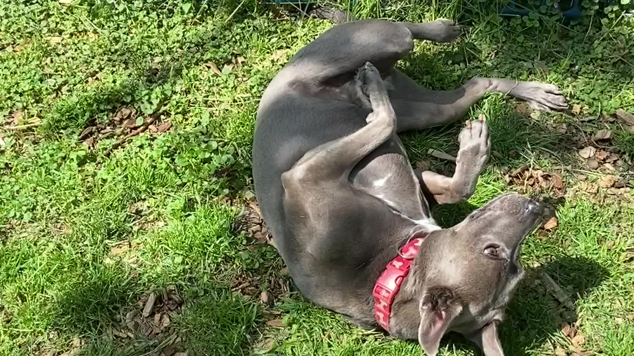 Really wants that smell