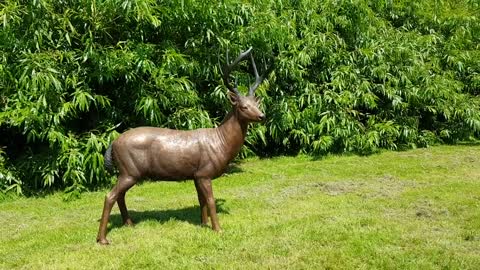 Tuinbeeld hert levensecht _ Bronzen Beelden Winkel