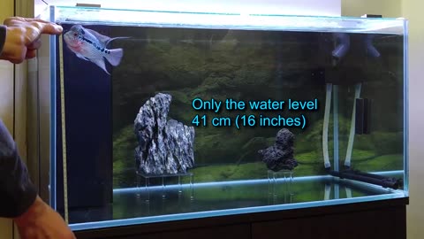 Aquarium Volume Calculator - Also for Fishbowls