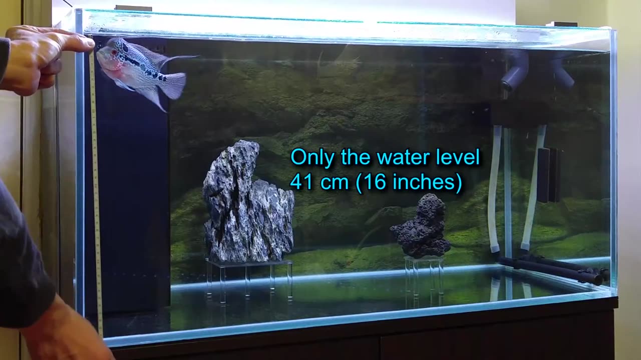 Aquarium Volume Calculator - Also for Fishbowls