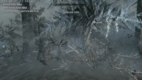The Elder Scrolls 5 Skyrim Female Orc Karen D'Orc Part 270