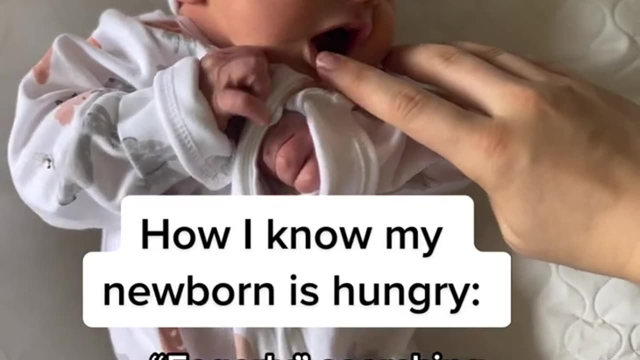 How I can tell that my newborn is hungry vs. full