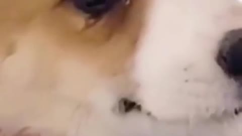 ．Conflict management is used for. Human