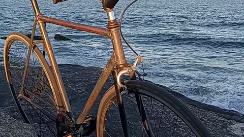 Fixed gear nature