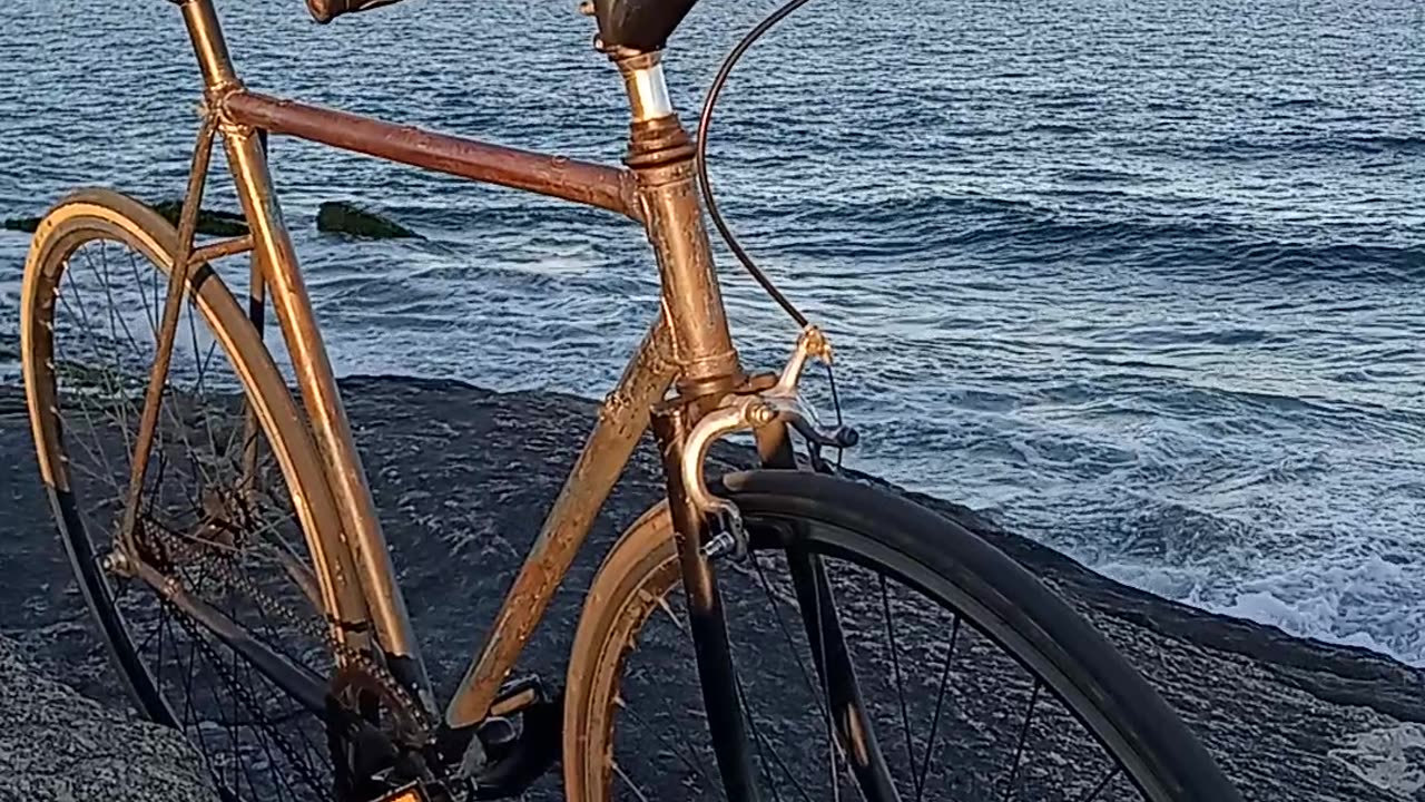 Fixed gear nature