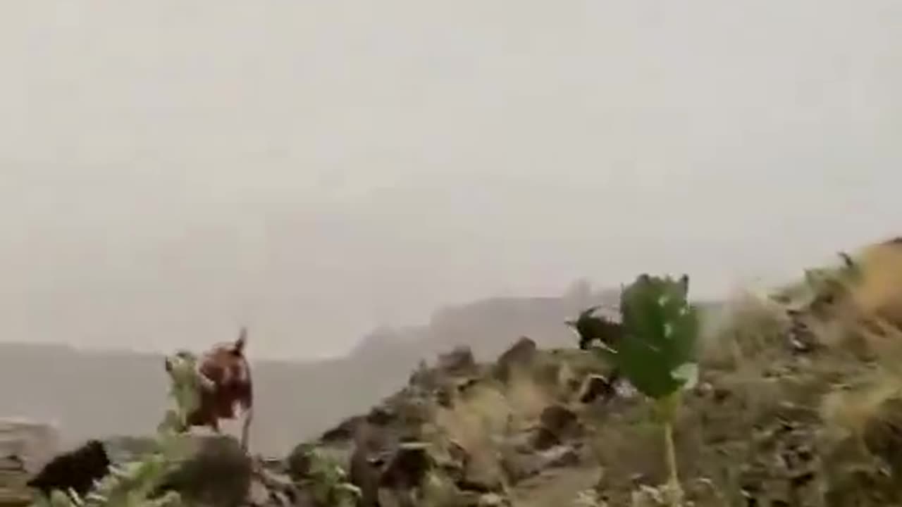 Everyone facing challange in life