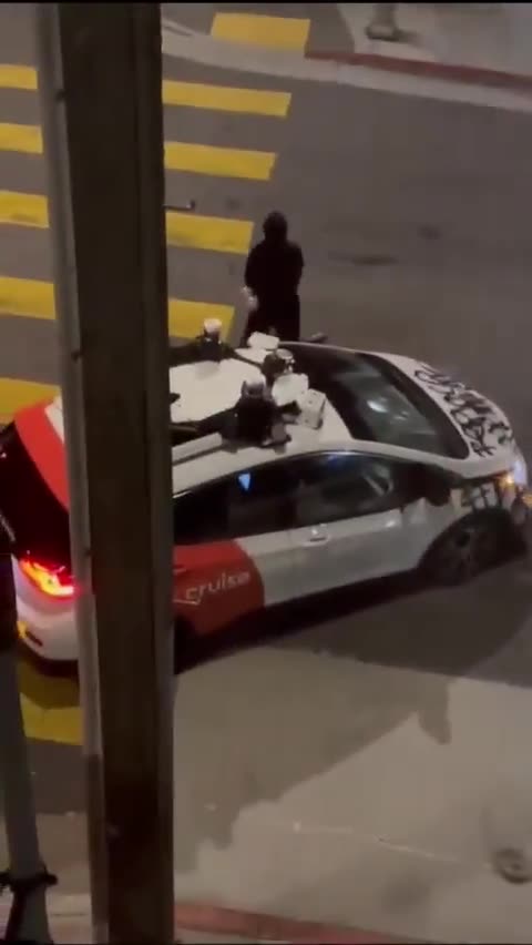 Enraged by AI EV, pedestrian takes matters into hand LOL.. MOAR PLEASE!!