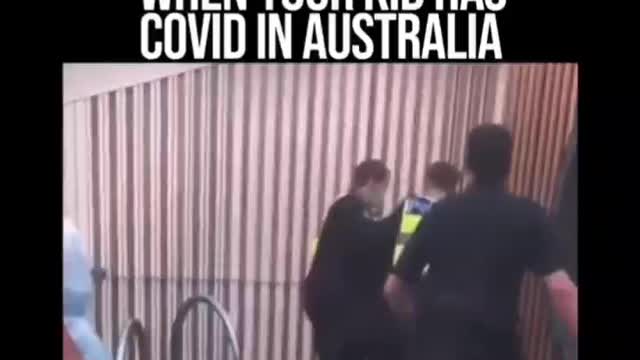 V206. 🇦🇺 Horror FLASHBACK of this Deception ⚕☠