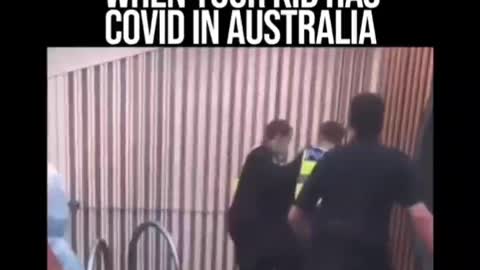 V206. 🇦🇺 Horror FLASHBACK of this Deception ⚕☠