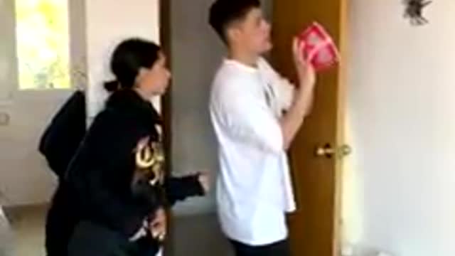 they carch big spider with a bolw then they dont know how to transport it out.