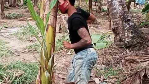 Funny dance