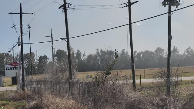 SMOKE IS GOOD 👍👌