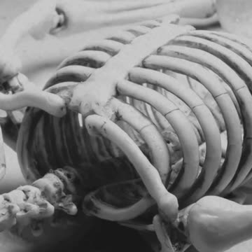 UNEARTHING the Unseen: The Tale of the FACELESS Skeleton