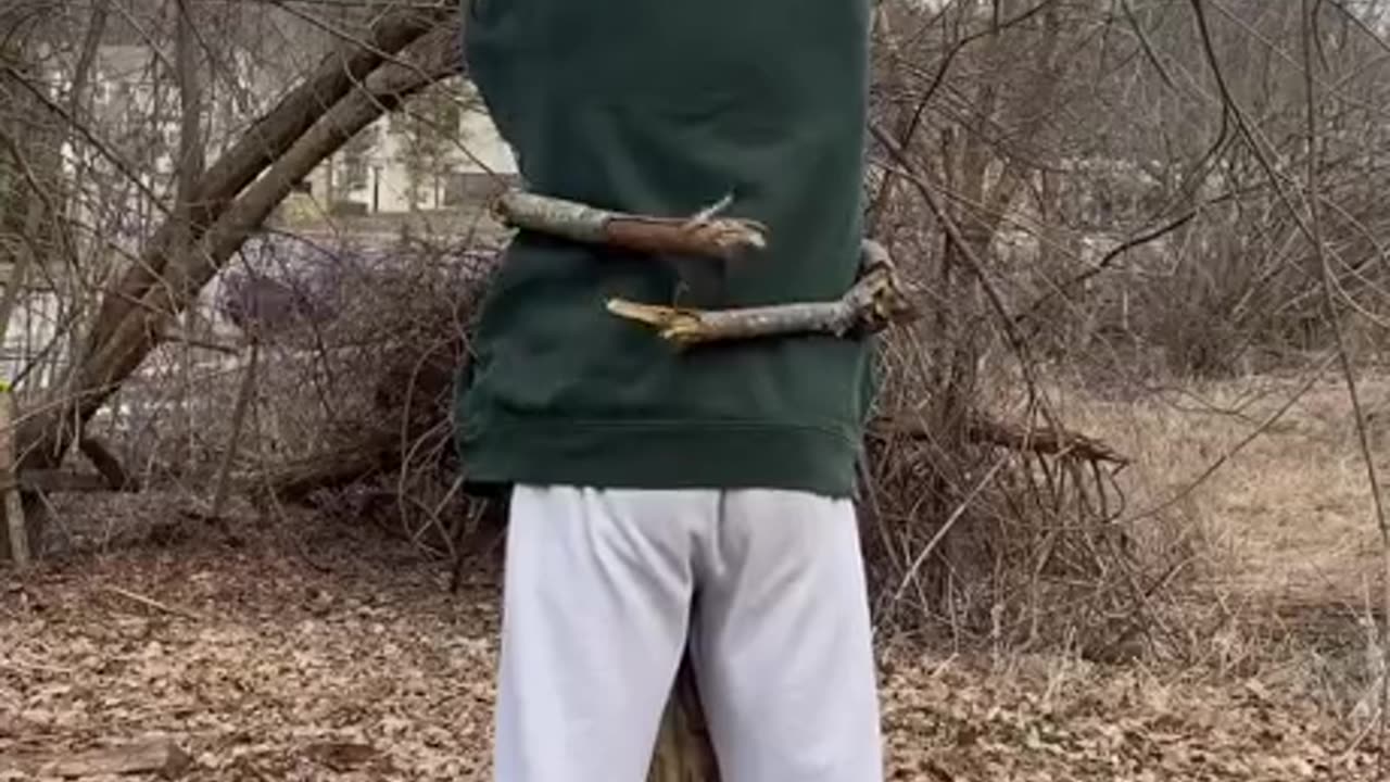I am not dendrophil I swear