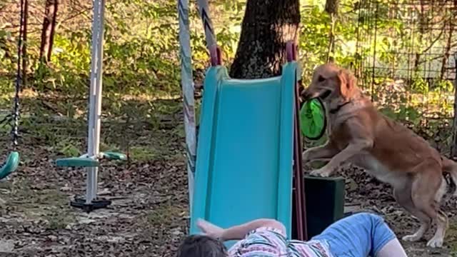 Teaching Dog Trick on Slide