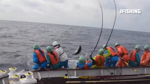 Fishing for skipjack tuna faster