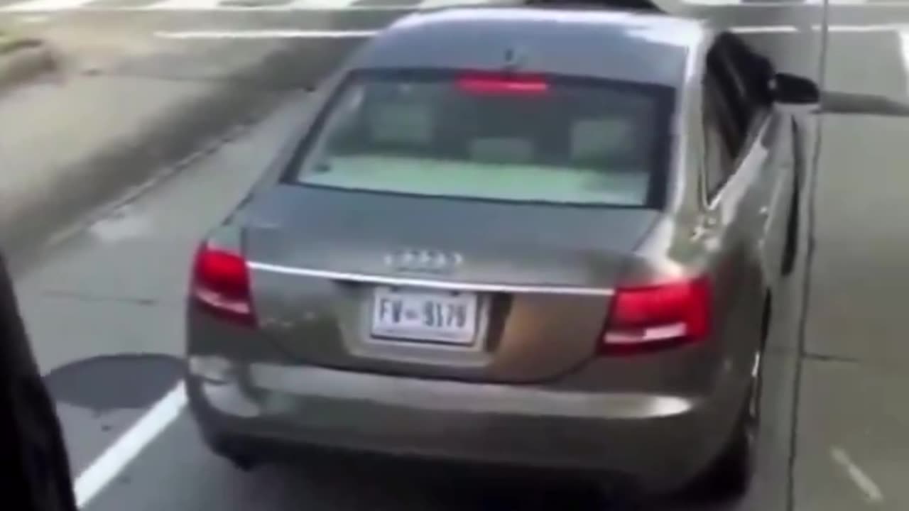 woman is Bat sh*t crazy she destroys the bus and hits the driver twice with her car.