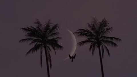 Broken heart