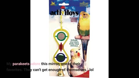 JW Pet Company Activitoy Double Axis Small Bird-Overview