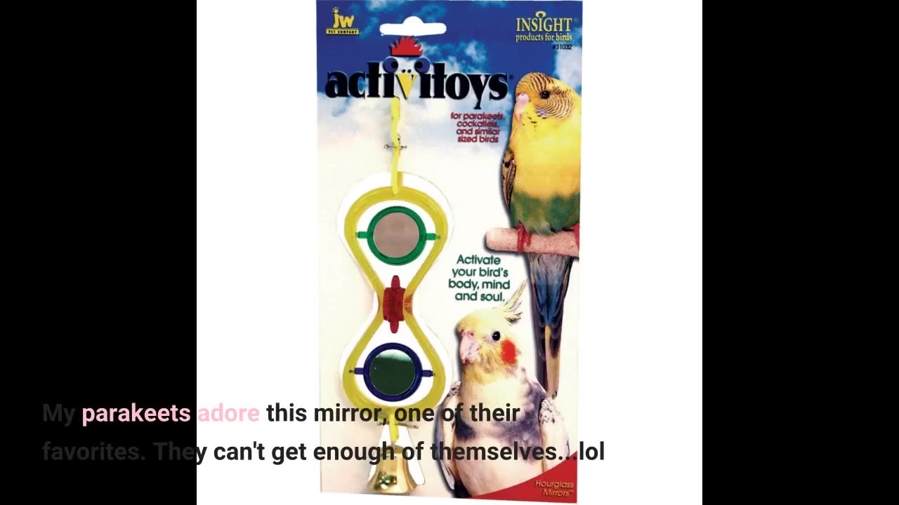 JW Pet Company Activitoy Double Axis Small Bird-Overview