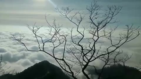 the beauty of telemoyo mountain from Indonesia