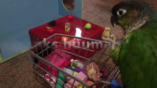 Kermy Goes Shopping