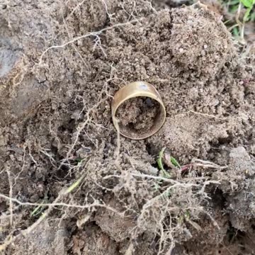 Gold Ring On TickTock