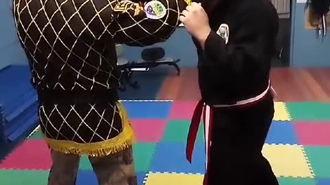 Tong Hap Kwan Hoshinsul Short Stick Techniques