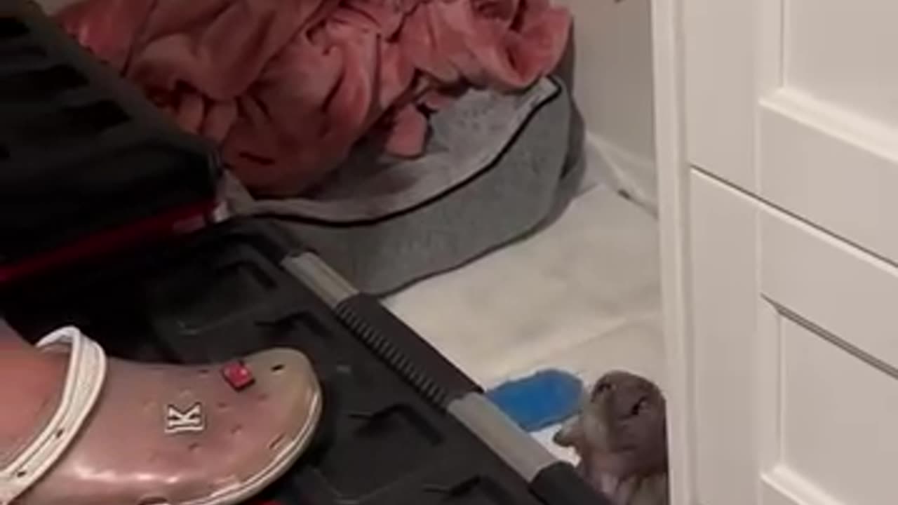 Negotiations before bed