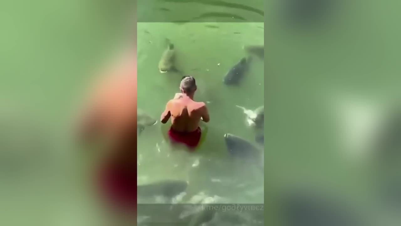 Man Quits Catching Fish 🚫🎣 & Decides to Feed Them