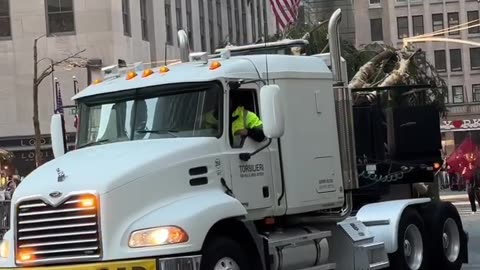 Christmas tree arrived in NYC