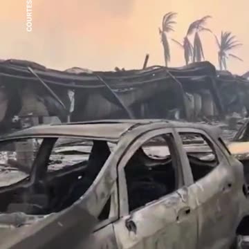 Disaster in Maui.