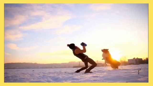 DOGS THAT FLY & DOG TRAINING IN SNOW