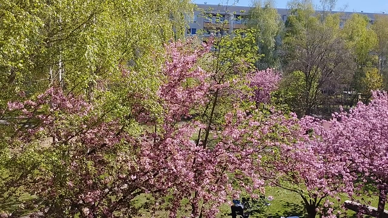 Spring in Berlin