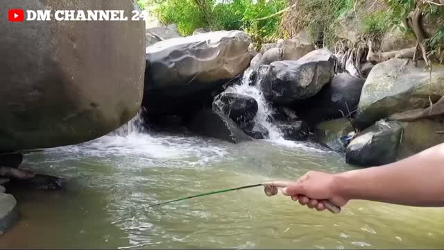 Net fishing, people catch a lot of fish in indonesia