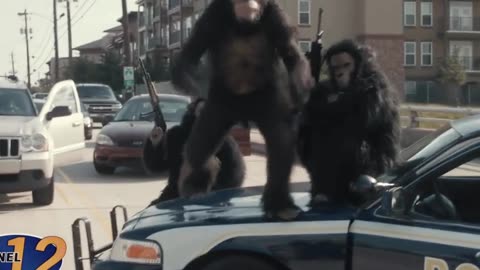 apes attacks the city. #scarymovie|