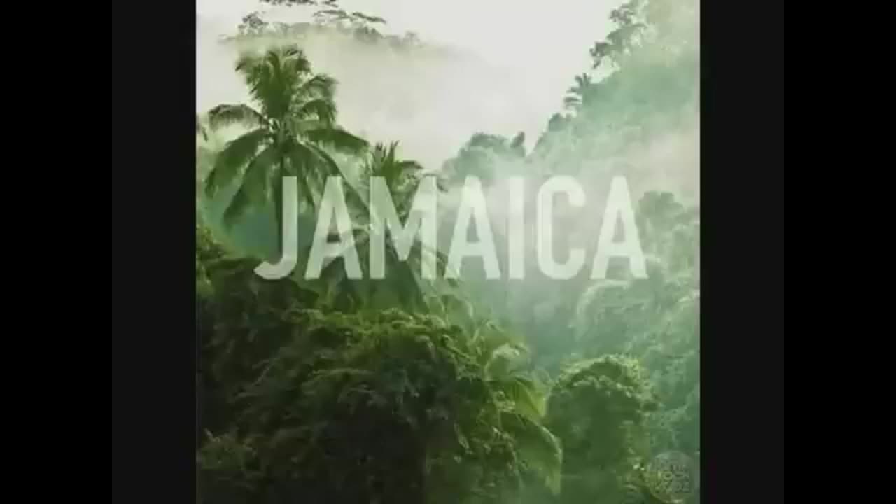 Best Of The 90s Old School Reggae Mix 2023