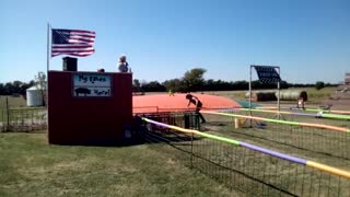 Pig Races at Klausmeyer Farm & Pumpkin Patch in Kansas *WINDY*