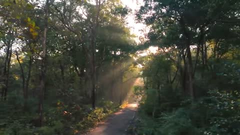 Natural scenery