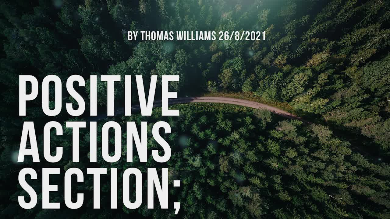Positive actions section;