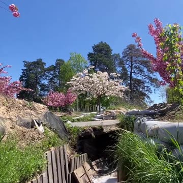 Beautiful Springtime Trenches